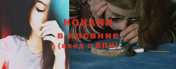 соль ск Алексин